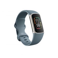 Fitbit Charge 5 Steel Blue