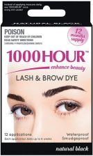 1000 Hour Brush In Lash & Brow Dye Kit Black