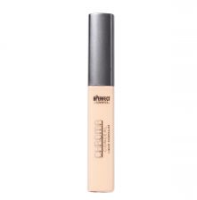 picture concealer w2